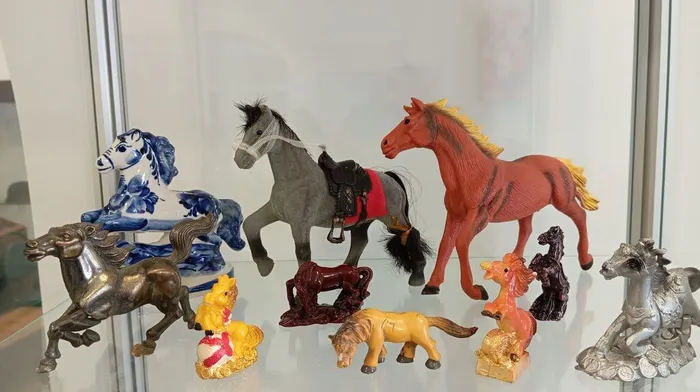 Немская библиотека