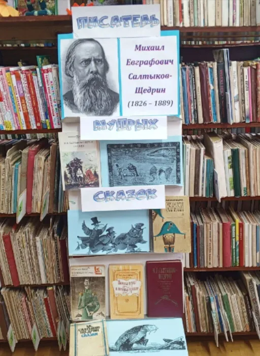 Соколовская библиотека
