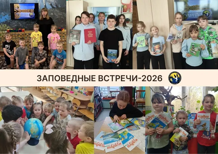 Немская библиотека
