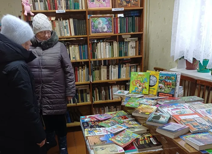 Городищенская библиотека