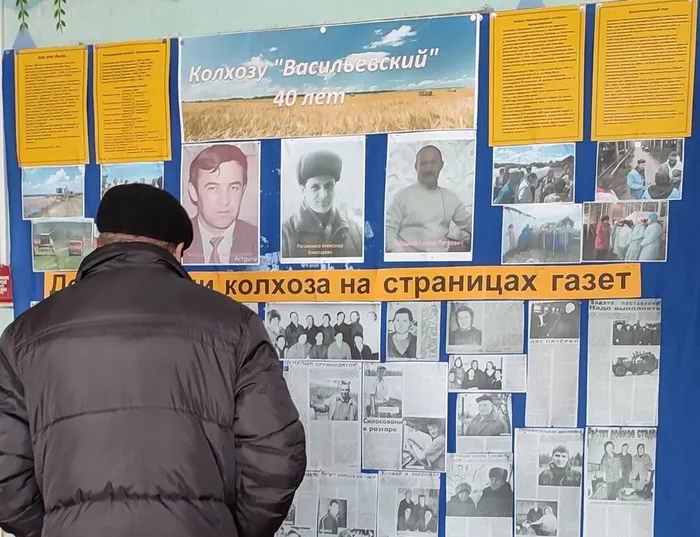 Васильевская библиотека