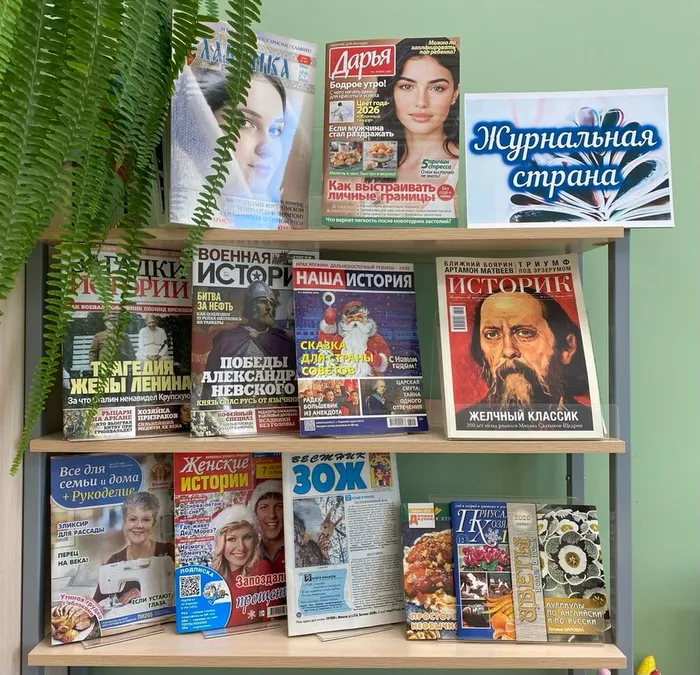 Немская библиотека