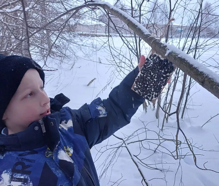 Городищенская библиотека