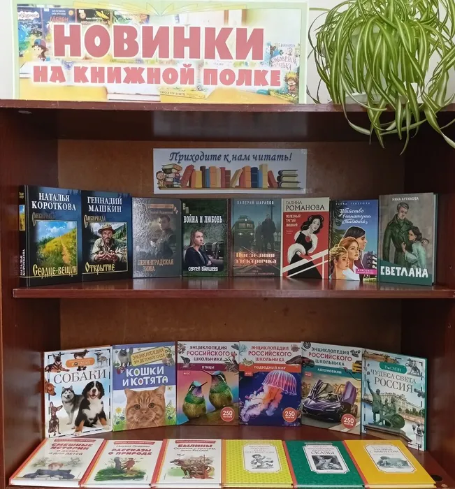 Слудская библиотека